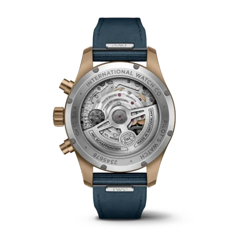 IWC pilot series IW388109 watch