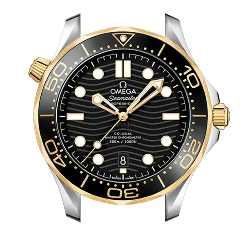DIVER 300M CO‑AXIAL MASTER CHRONOMETER 42 MM-21