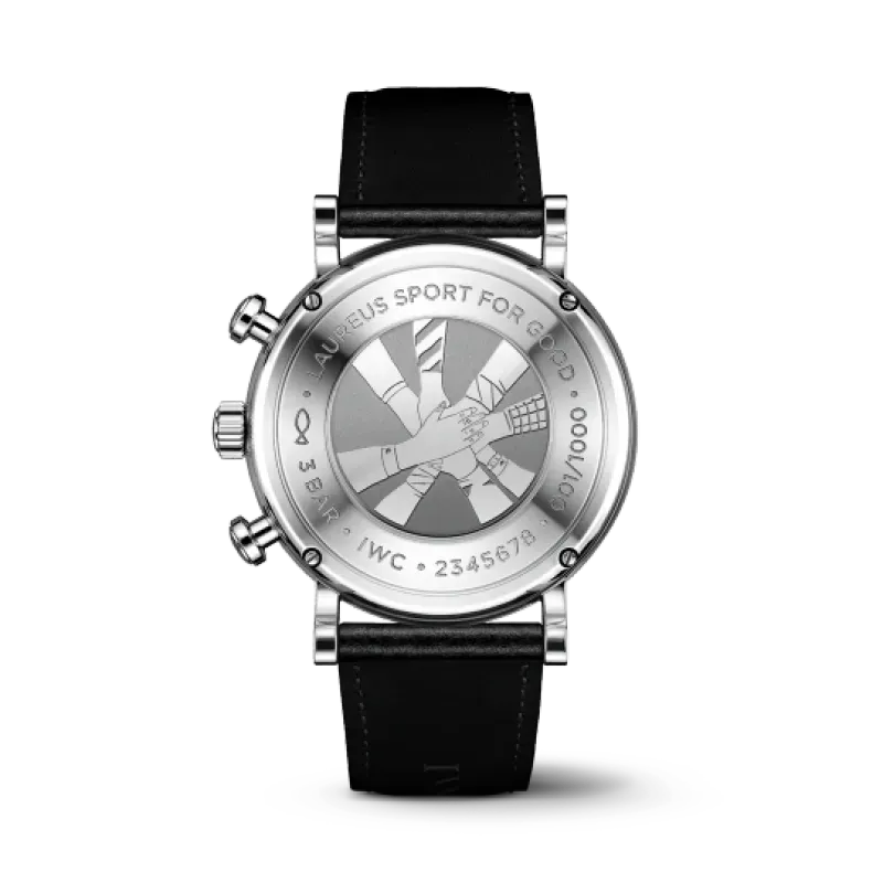 IWC Portofino IW391408 watch