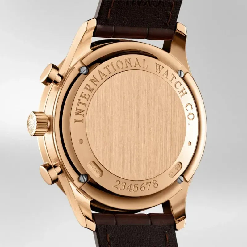 IWC Portugieser IW371480 watch